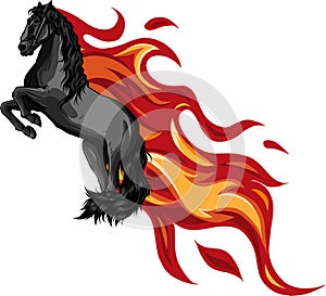 Beautiful black fiery horse isolated on white