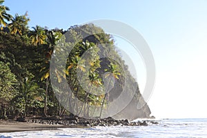 Anse Couleuvre Black Sand Beach Martinique Islands Caribbean Sea photo