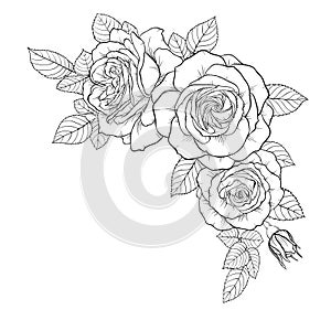 Beautiful black and white bouquet rose and leaves. Floral arrangement isolated on background. design greeting card and invitation