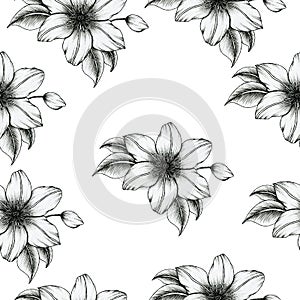 Beautiful black and white floral seamless pattern, hand drawn vintage flowers decoration, ink clematis flowers bouquet seamless