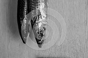 Beautiful black and white photography hanging fish