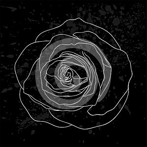 Beautiful black and white rose outline with gray spots on a black background.