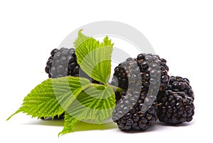 Beautiful blackberries