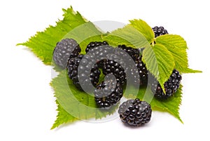 Beautiful blackberries