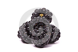 Beautiful blackberries