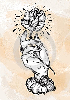 Beautiful blackwork tattoo design. Vintage woman`s hand holding rose flower. Dark romance. High-detailed vector artwork isolated.