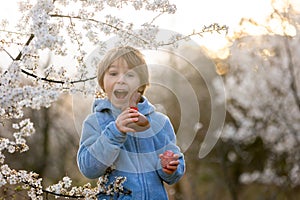 Beautiful blond child, boy, holding twig, braided whip made from pussy willow, traditional symbol of Czech Easter used for