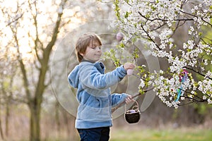 Beautiful blond child, boy, holding twig, braided whip made from pussy willow, traditional symbol of Czech Easter used for