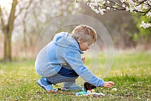 Beautiful blond child, boy, holding twig, braided whip made from pussy willow, traditional symbol of Czech Easter used for