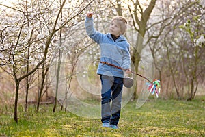 Beautiful blond child, boy, holding twig, braided whip made from pussy willow, traditional symbol of Czech Easter used for