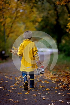 Beautiful blond preschool child, playing with leaves, mushrooms and pumpkins in the rain, holding umbrella