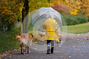 Beautiful blond preschool child, playing with leaves, mushrooms and pumpkins in the rain, holding umbrella