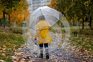 Beautiful blond preschool child, playing with leaves, mushrooms and pumpkins in the rain, holding umbrella