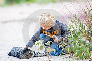 Beautiful blond toddler child with little cat on the beach, hugging, friendship between kid and kitten