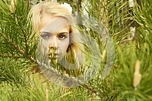 Beautiful blond woman behind a pine