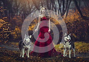 A beautiful blonde girl in a chic red dress, walking with two husky dogs in an autumn forest.