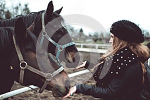 Beautiful blonde girl feeds from a hand a big brown horse
