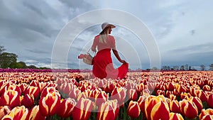 Beautiful blonde girl in red dress and white straw hat with wicker basket on colorful tulip fields.