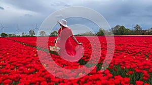 Beautiful blonde girl in red dress and white straw hat with wicker basket on colorful tulip fields.