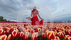 Beautiful blonde girl in red dress and white straw hat with wicker basket on colorful tulip fields.