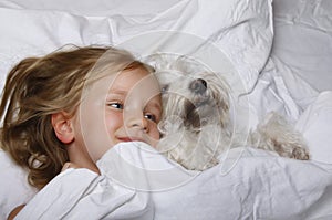 Beautiful blonde little girl laughing and lying with white schnauzer puppy dog on white bed. Friendship concept.