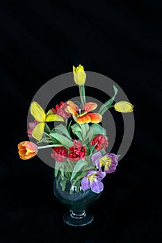 Beautiful Blooming Assorted Tulips in Vases with Black Background.