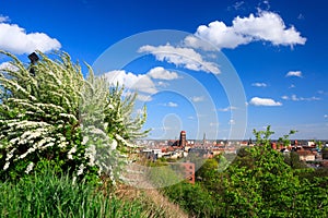 Beautiful blooming bushes and the Main City of Gdansk at spring, Poland