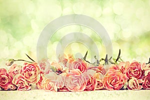 Beautiful blooming carnation flowers with bokeh lighting background