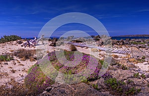 Beautiful blooming coastline of Crete island