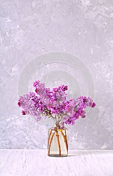 Beautiful blooming lilac branches in the glass jar on the table.