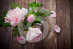 Beautiful blooming peonies with petals on a wooden table