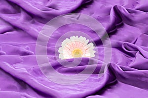 Beautiful blooming pink gerbera flower on the purple silc fabric. Minimal composition. Spring background