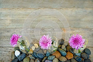 Beautiful blooming pink purple Dahlia flower decoration in champagne clear glass vase on blurred wooden copy space background with