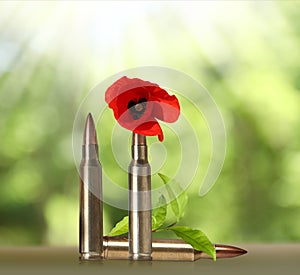 Beautiful blooming poppy flower and bullets outdoors on sunny day. Peace instead of war