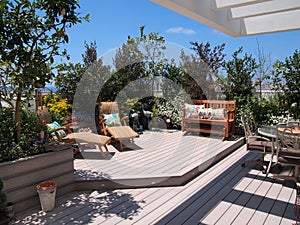 Beautiful blooming rooftop garden in city setting photo