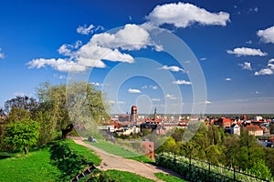 Beautiful blooming tree and the Main City of Gdansk at spring, Poland