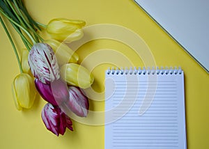 Beautiful blooming tulips, notebook and a lap top, office, business concept, spring flowers, copy space