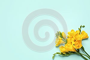 Beautiful blooming yellow freesias on background, top view. Space for text