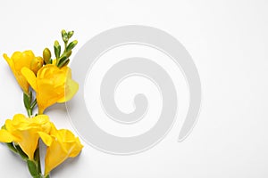 Beautiful blooming yellow freesias on background, top view. Space for text