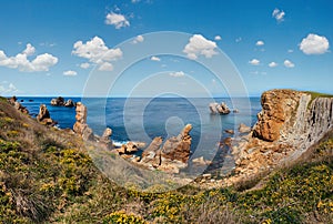 Beautiful blossoming Atlantic Ocean coastline landscape Arnia Beach, Biskaya, Cantabria, Spain. photo