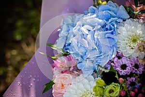 Beautiful blossoming flower bouquet of fresh hydrangea, roses, eustoma, mattiola, flowers in blue, pink and white colors
