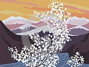 Beautiful blossoming trees in mountains landscape