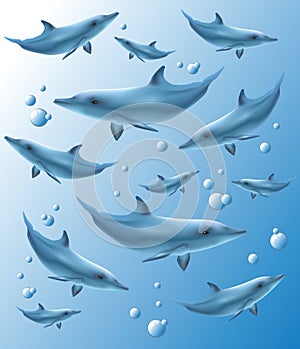 Beautiful blue background with dolphins and bubbles