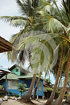Beautiful blue beach house among tropical palm trees somewhere at the tropics