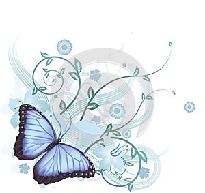 Beautiful blue butterfly background