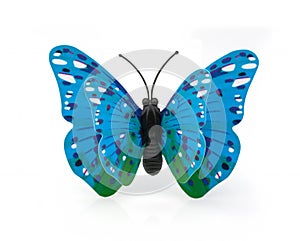 Beautiful blue butterfly on a white background