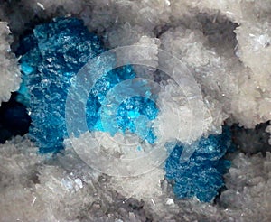 Beautiful blue cavansite crystals against a white crystalline background