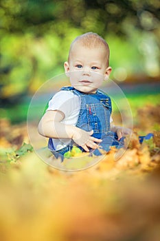 beautiful blue-eyed child in the fall on a carpet of yellow red leaves