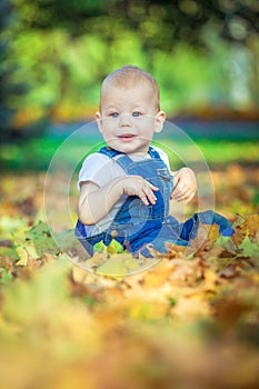 Beautiful blue-eyed child in the fall on a carpet of yellow red leaves