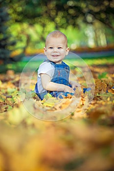 Beautiful blue-eyed child in the fall on a carpet of yellow red leaves